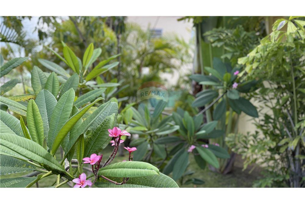 Villa - For Sale - Bolands, Parish of Saint Mary, Antigua and  Barbuda - 2 - 902121001-45