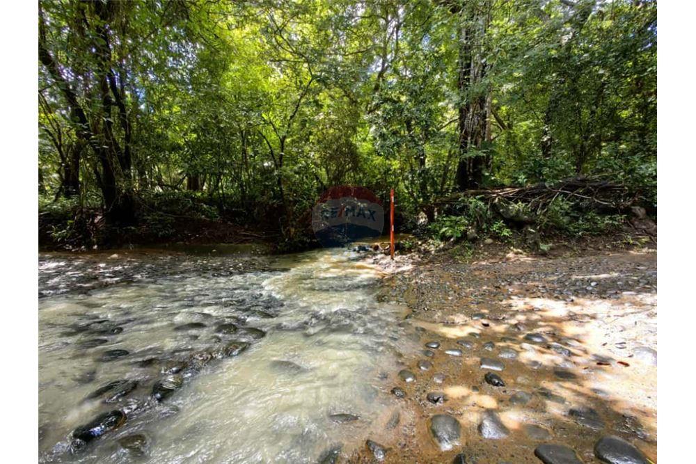 Grondstuk - Te Koop - Orotina, Alajuela- Orotina, Costa Rica - 11 - 902701010-1