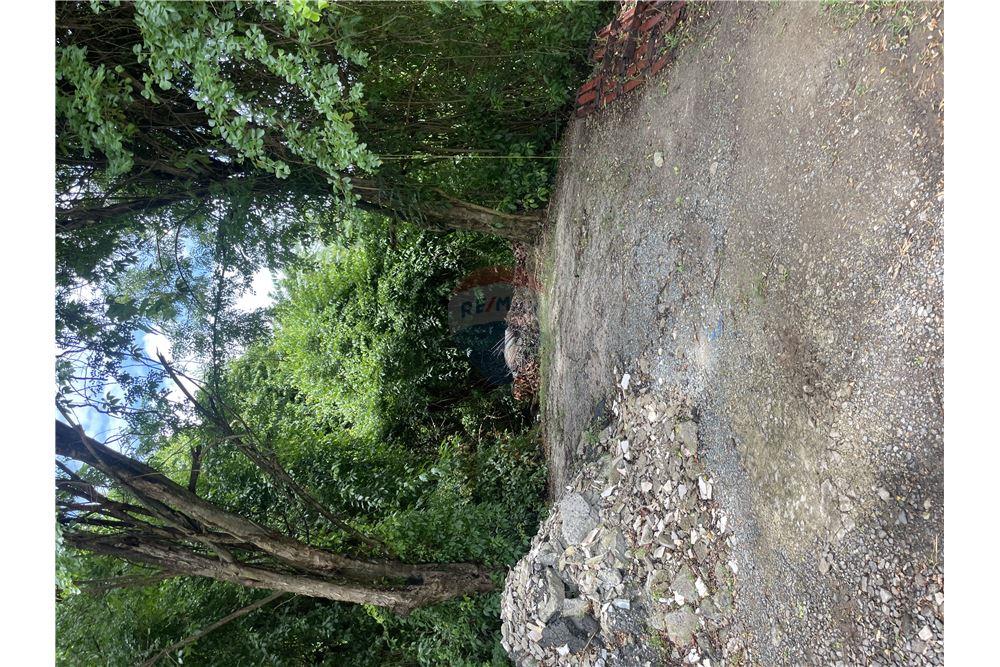 Grondstuk - Te Koop - Marisule Estate, Gros-Islet, St Lucia - 7 - 902071001-207