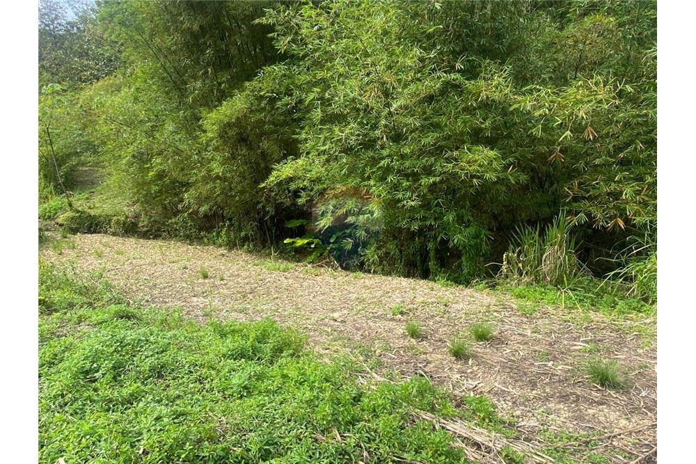 Lote - Venta - Tabaquite, Caroni, Trinidad and Tobago - 4 - 90155109-148