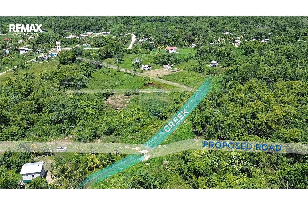 Land - For Sale - Sarawina, Stann Creek District, Belize - 3 - 901311003-18