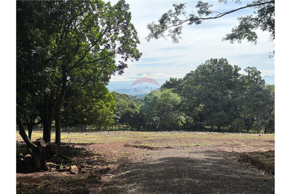 Land - For Sale - Atenas, Alajuela- Atenas, Costa Rica - 33 - 90128002-974