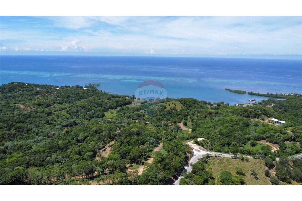 Land - For Sale - Roatan, Bay Islands, Honduras - 9 - 90139004-186