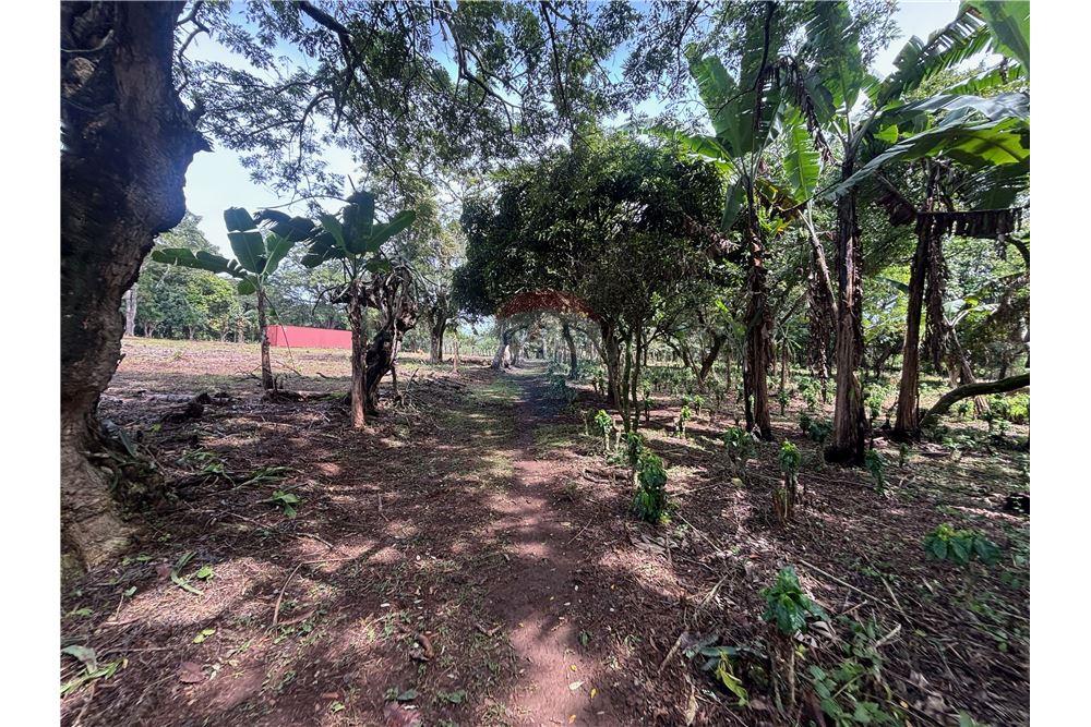 Land - For Sale - Atenas, Alajuela- Atenas, Costa Rica - 21 - 90128002-974