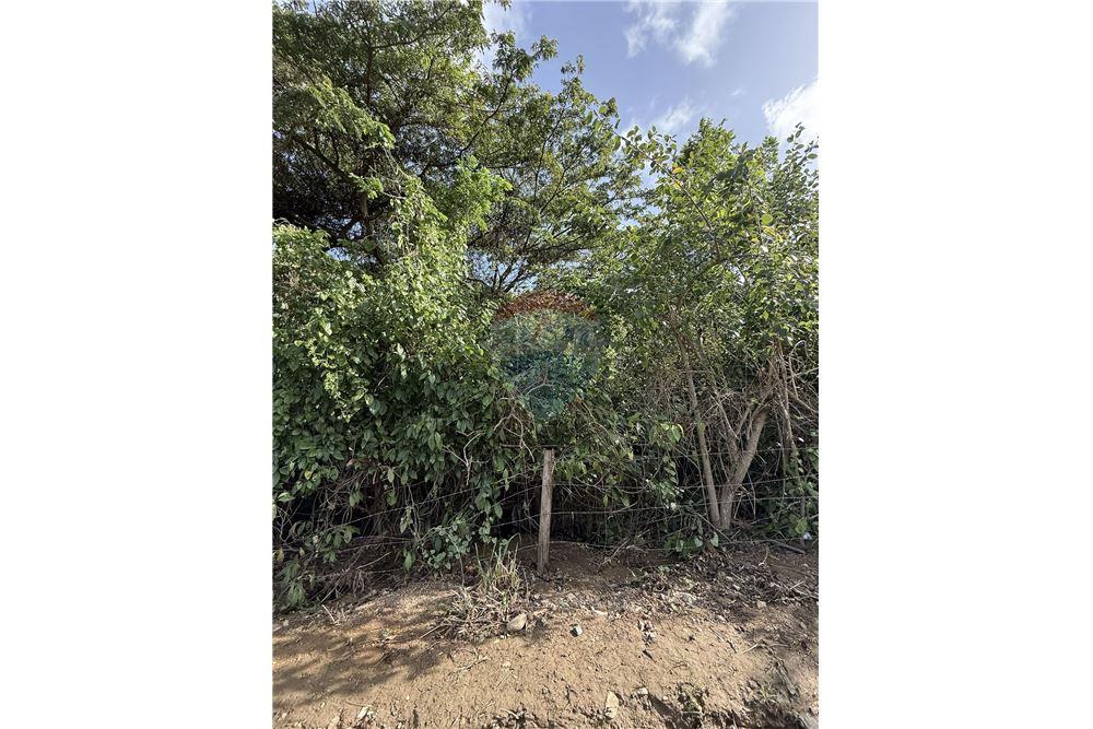 Land - For Sale - East End, Tortola, British Virgin Islands - 3 - 90134005-317