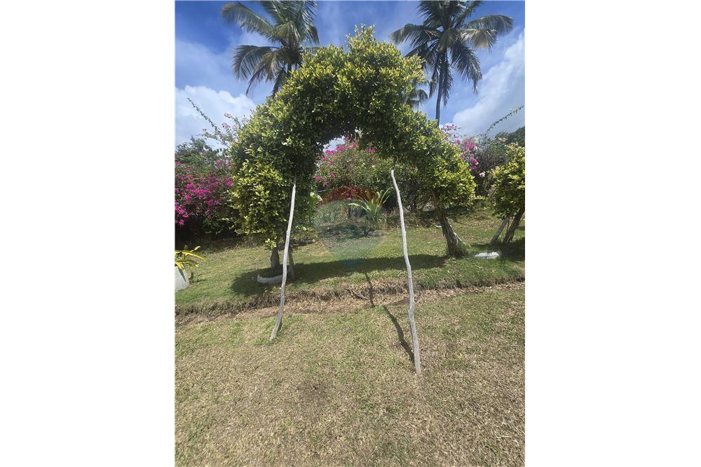 Villa - Te Koop - River Dorée, Choiseul, St Lucia - 6 - 902071001-214