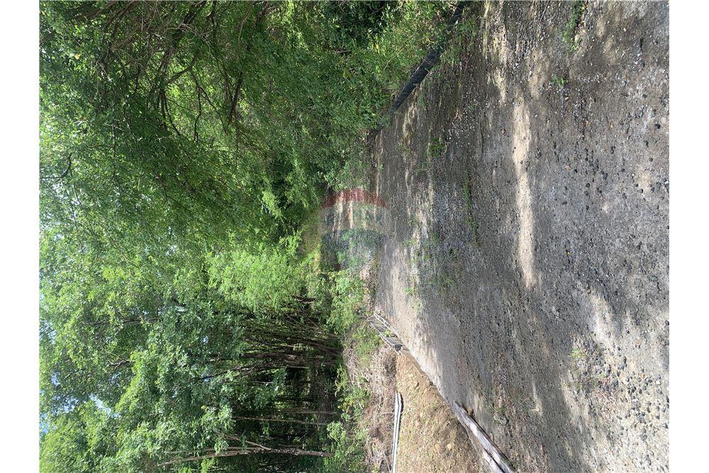 Grondstuk - Te Koop - Gros Islet, Gros-Islet, St Lucia - 4 - 902071001-212