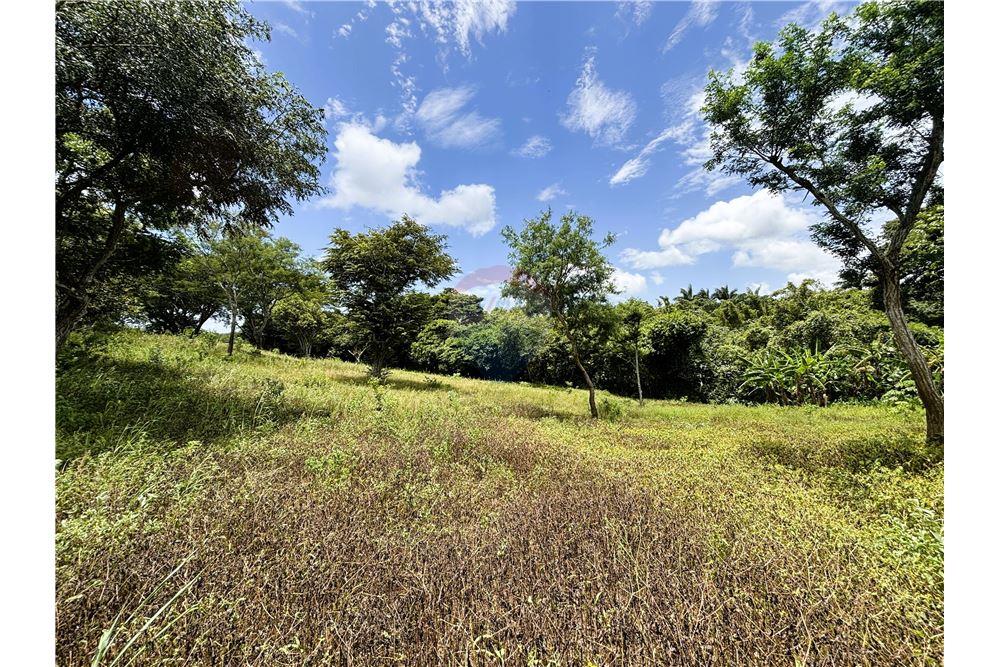 Lote - Venta - Dolores, Carazo, Nicaragua - 4 - 902521001-24