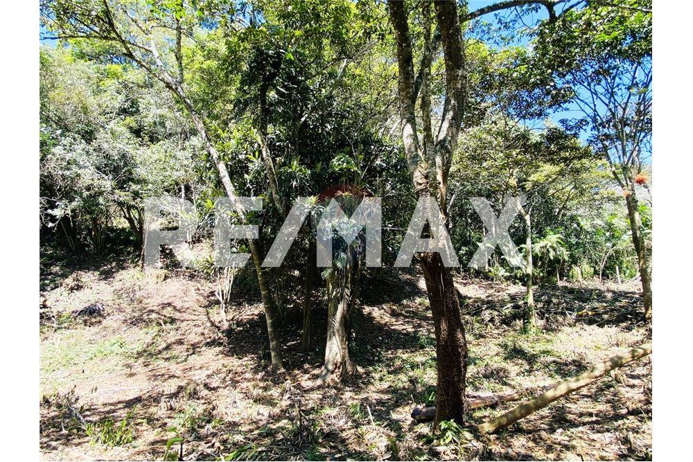Land - For Sale - Santa Catarina Pinula, Guatemala, Guatemala - 3 - 902311019-21