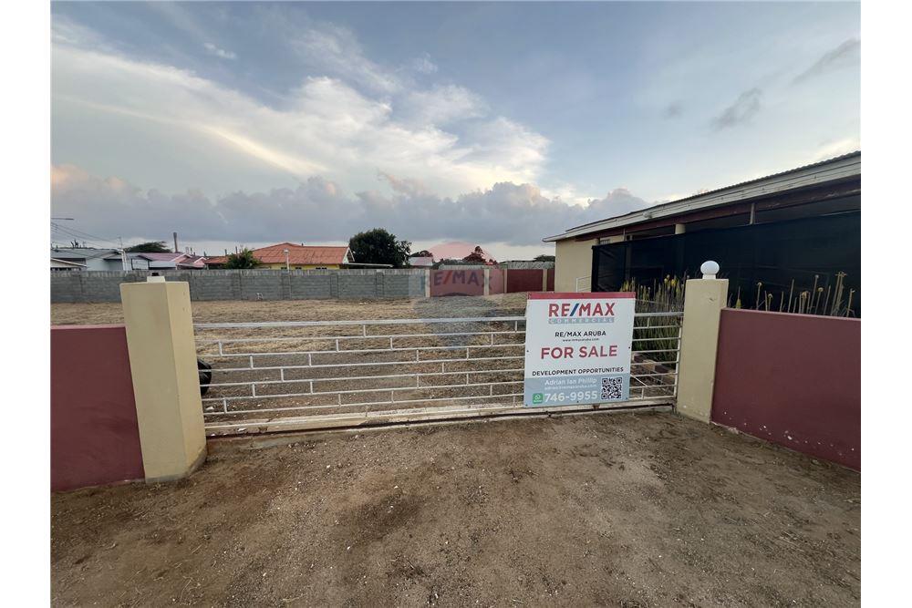 Bedrijfsmatig / Detailhandel - Te Koop - Sint Nicolaas, Aruba, Aruba - 55360 - 90105035-27