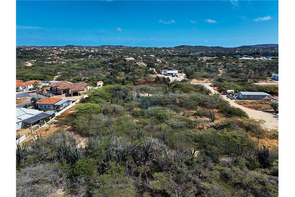 Grondstuk - Te Koop - Santa Cruz, Aruba, Aruba - 4 - 90105005-512