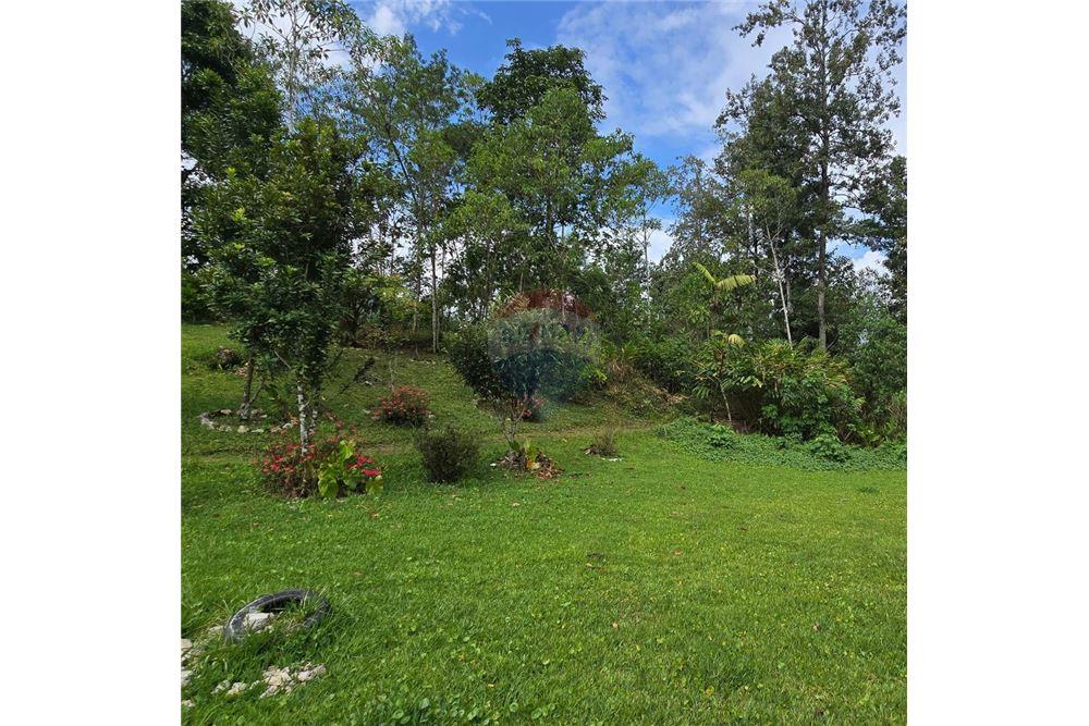 Land - For Sale - San Juan Chamelco, Alta Verapaz, Guatemala - 3 - 902611001-94