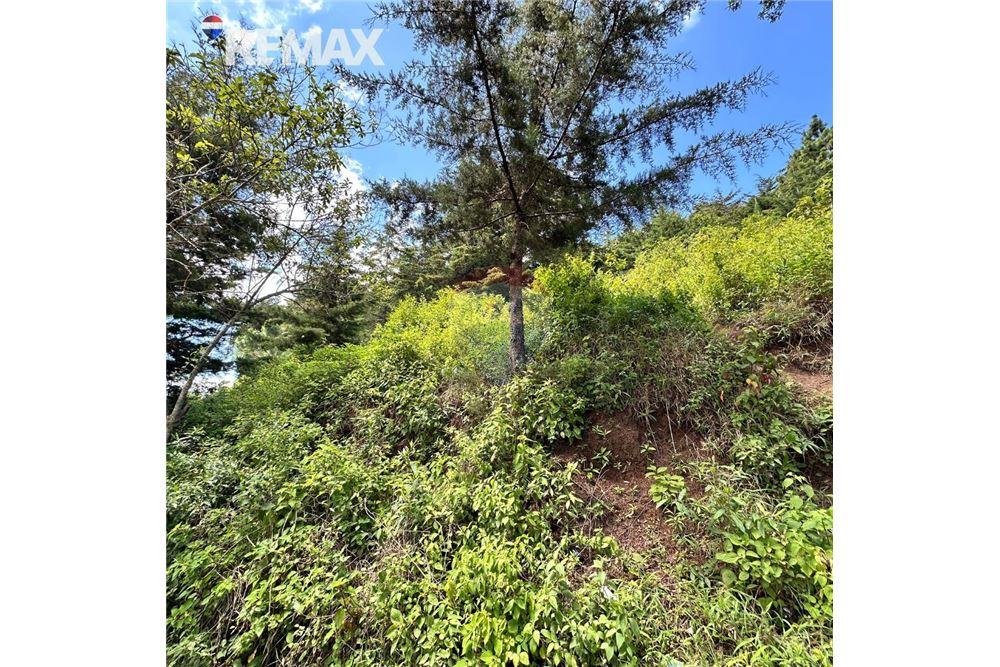 Land - For Sale - San José Pinula, Guatemala, Guatemala - 2 - 902611006-17