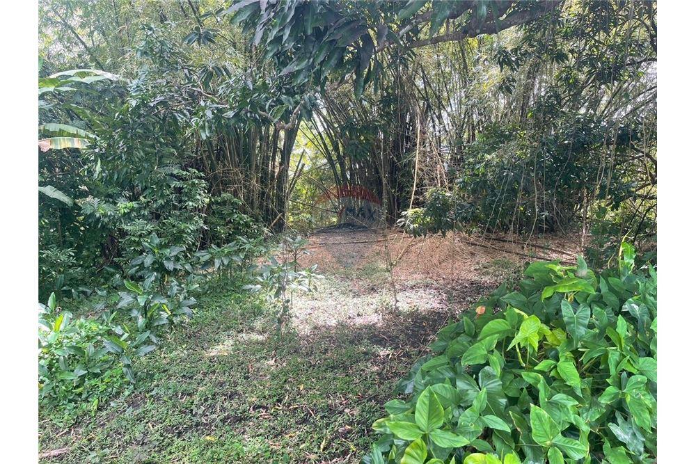 Land - For Sale - Yabucoa, Yabucoa, Puerto Rico - 2 - 90102037-11