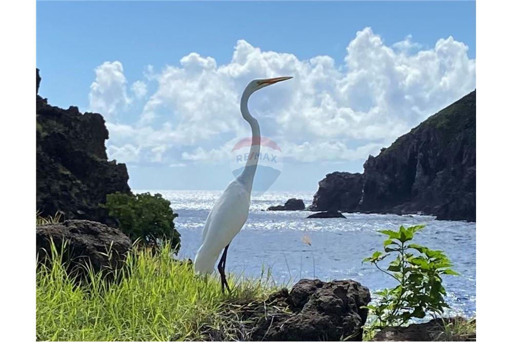 Villa - For Sale - Little Bay, St Maarten, St. Maarten - 15 - 90144016-11