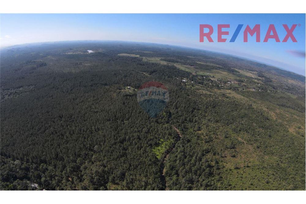 Lote - Venta - Poptún, Petén, Guatemala - 15 - 902691018-30