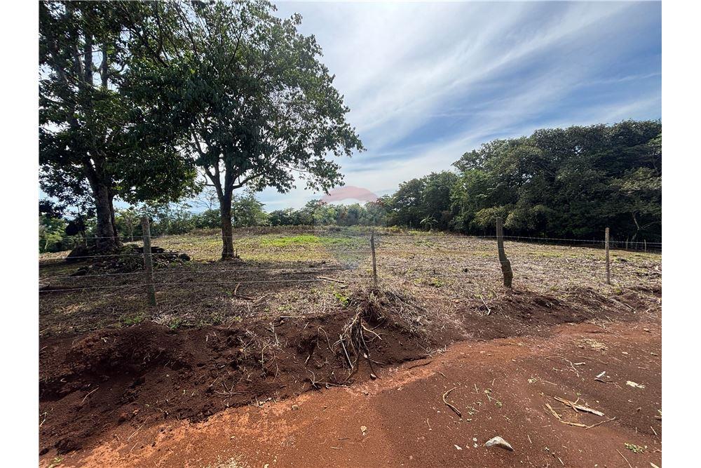 Land - For Sale - Atenas, Alajuela- Atenas, Costa Rica - 17 - 90128002-974