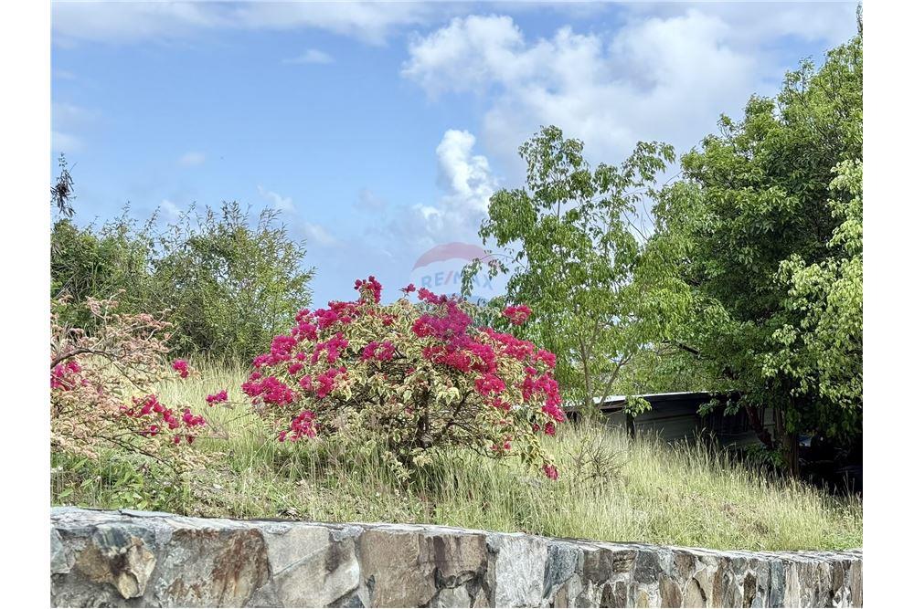 Villa - For Sale - West End, Tortola, British Virgin Islands - 2 - 90134005-297