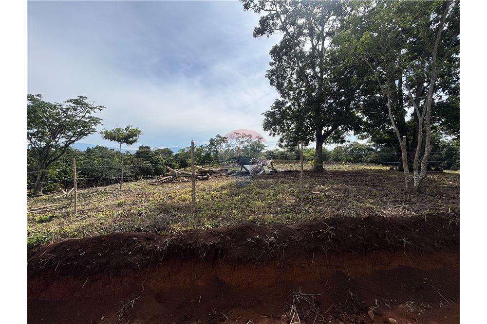 Land - For Sale - Atenas, Alajuela- Atenas, Costa Rica - 24 - 90128002-974