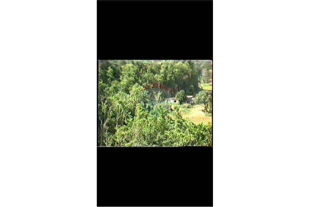 Lote - Venta - Dorado, Dorado, Puerto Rico - 9 - 90102025-331