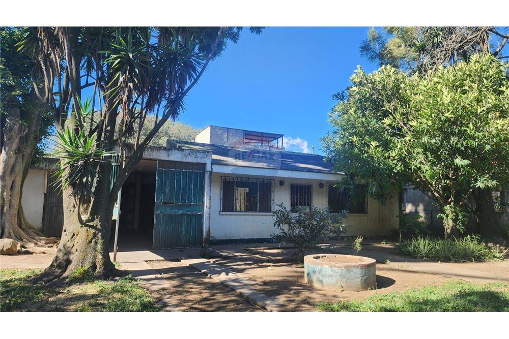 Land - For Sale - Palín, Escuintla, Guatemala - 2 - 902651004-4