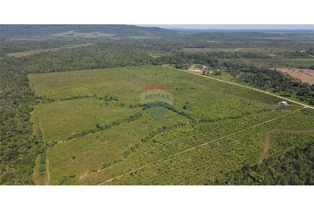 Sale of Business - For Sale - Silk Grass, Stann Creek District, Belize - 6 - 901911013-62