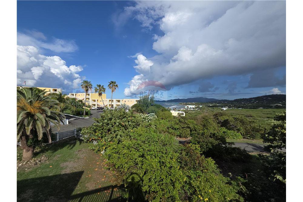 Villa - Te Koop - Saint John, St Croix, US Virgin Islands - 15 - 90123019-6