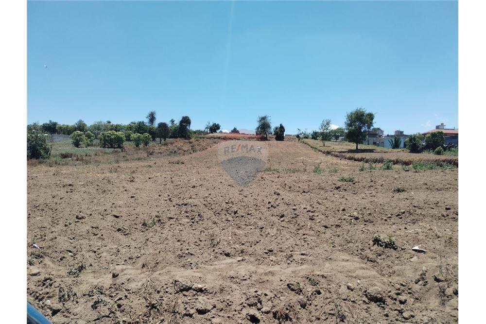 Land - For Sale - Quetzaltenango, Quetzaltenango, Guatemala - 3 - 901011001-28