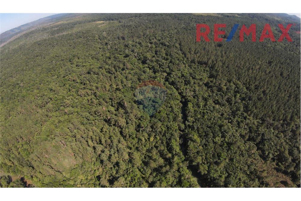 Lote - Venta - Poptún, Petén, Guatemala - 5 - 902691018-30