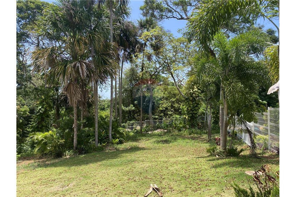 Land - For Sale - Utila, Bay Islands, Honduras - 9 - 90182002-607