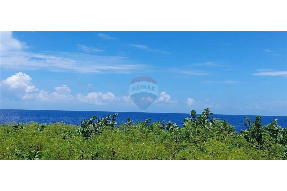 Lote - Venta - Oracabessa, Saint Mary, Jamaica - 1 - 90153034-137