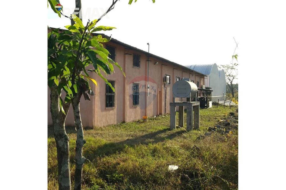Lote - Venta - Oratorio, Santa Rosa, Guatemala - 7 - 902611005-19