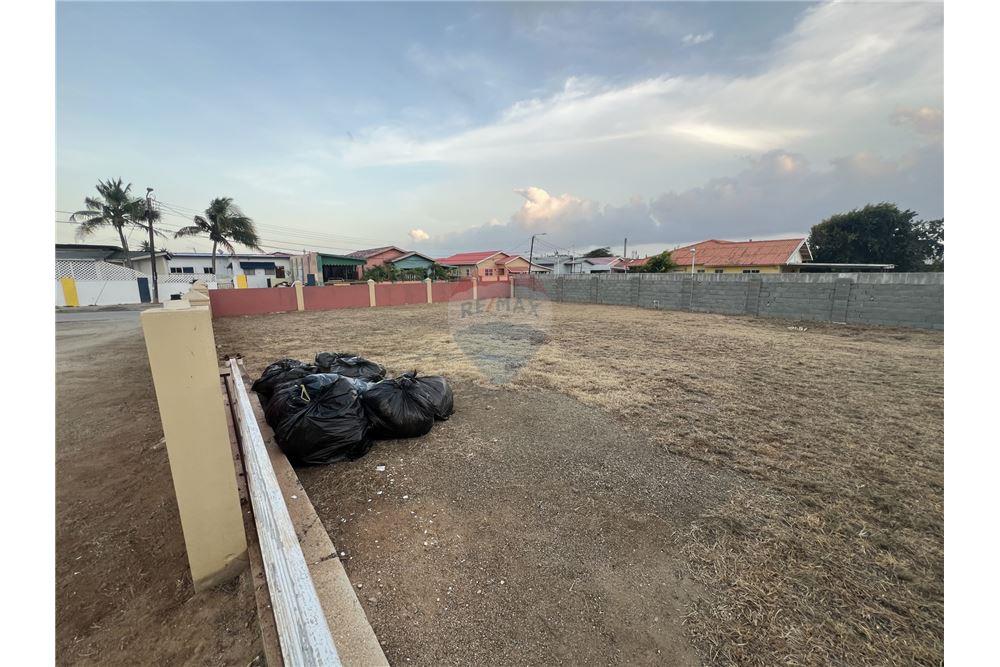 Bedrijfsmatig / Detailhandel - Te Koop - Sint Nicolaas, Aruba, Aruba - 55363 - 90105035-27