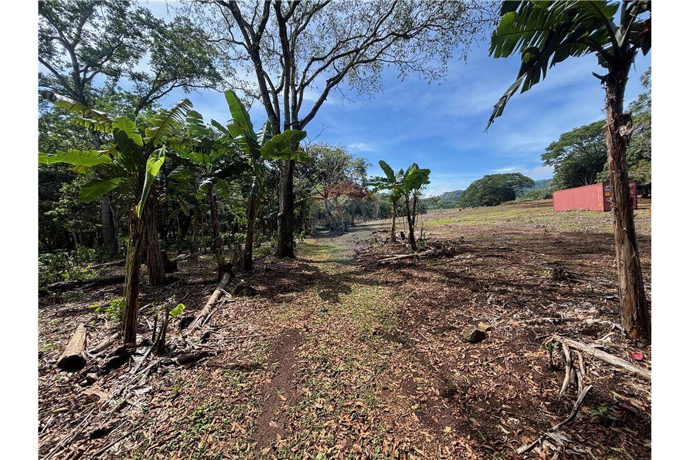 Land - For Sale - Atenas, Alajuela- Atenas, Costa Rica - 18 - 90128002-974