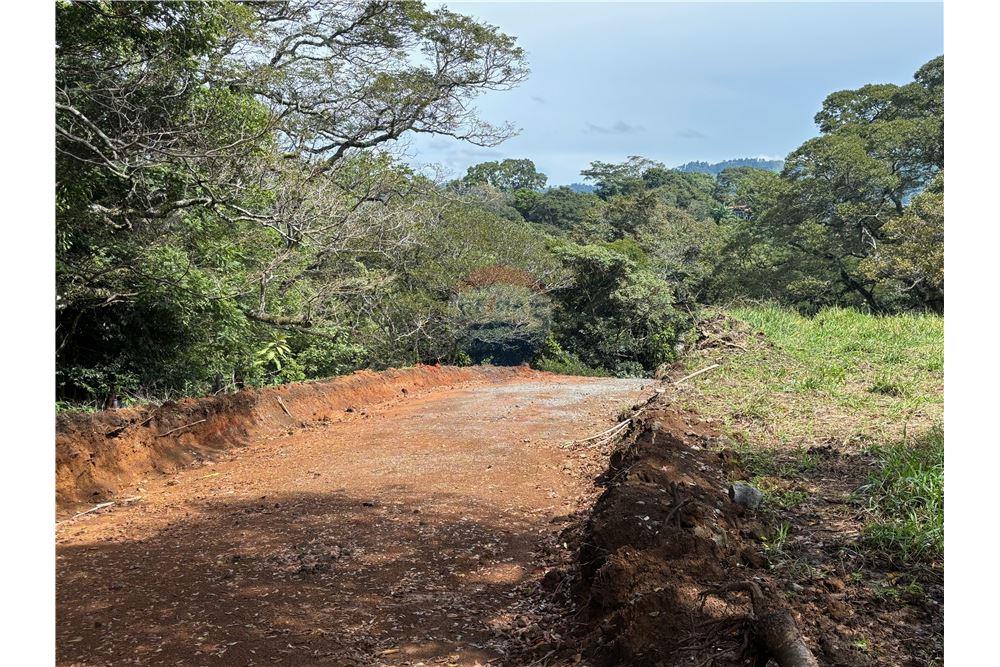 Land - For Sale - Atenas, Alajuela- Atenas, Costa Rica - 10 - 90128002-974
