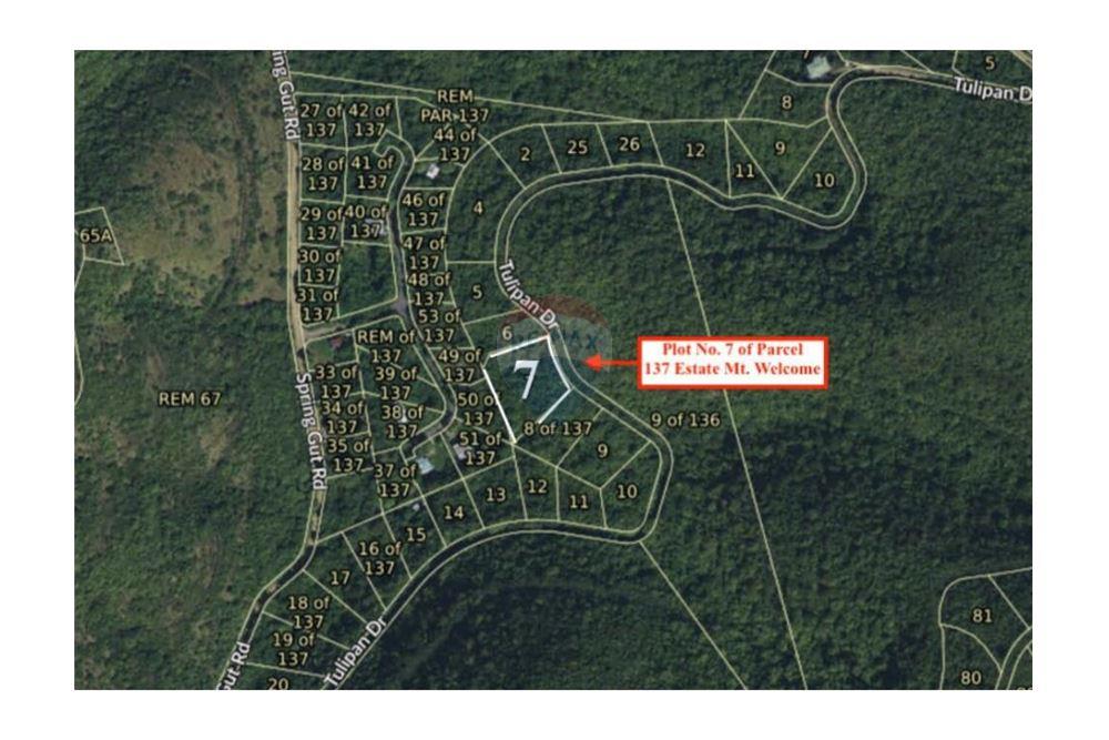 Lote - Venta - Mount Welcome Estate, St Croix, Islas Vírgenes Británicas - 1 - 90123001-1313