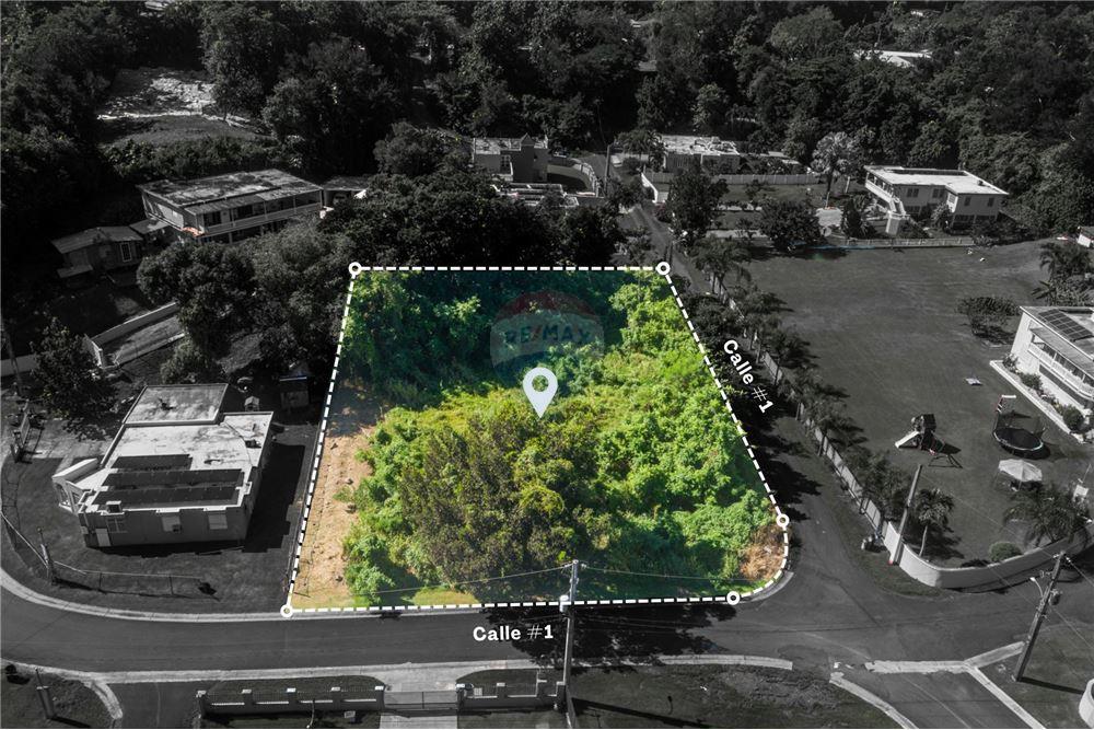 Grondstuk - Te Koop - Dorado, Dorado, Puerto Rico - 6 - 90107007-125