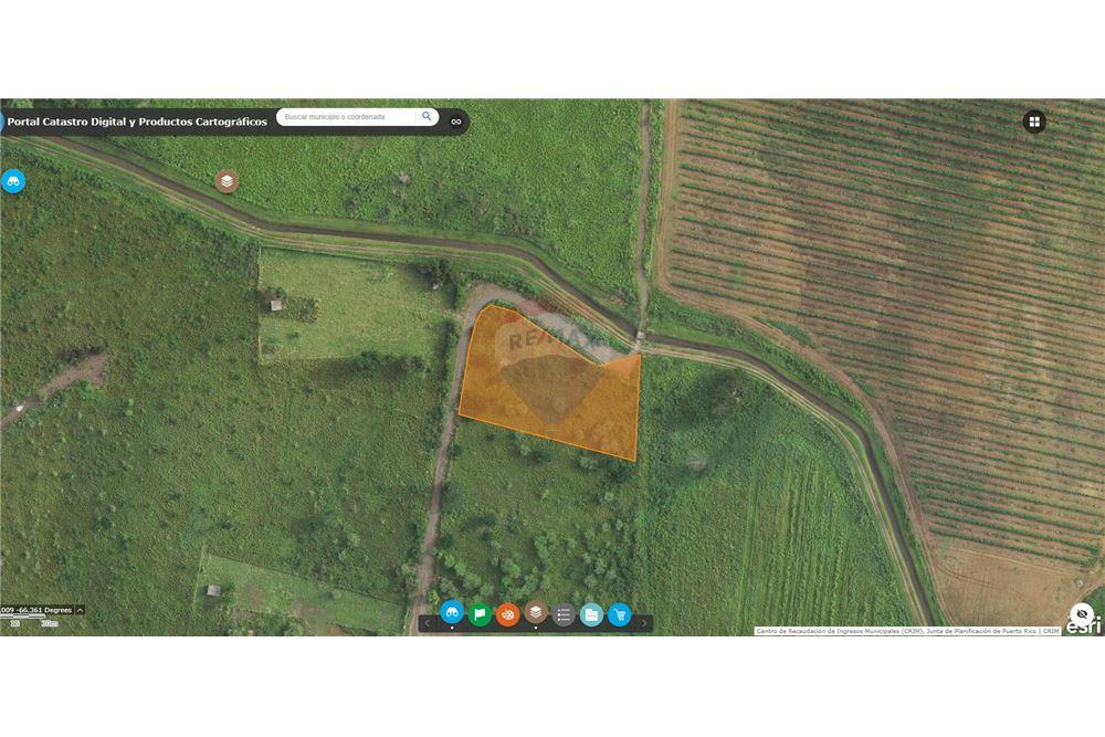 Land - For Sale - Santa Isabel, Santa Isabel, Puerto Rico - 11 - 90102054-25