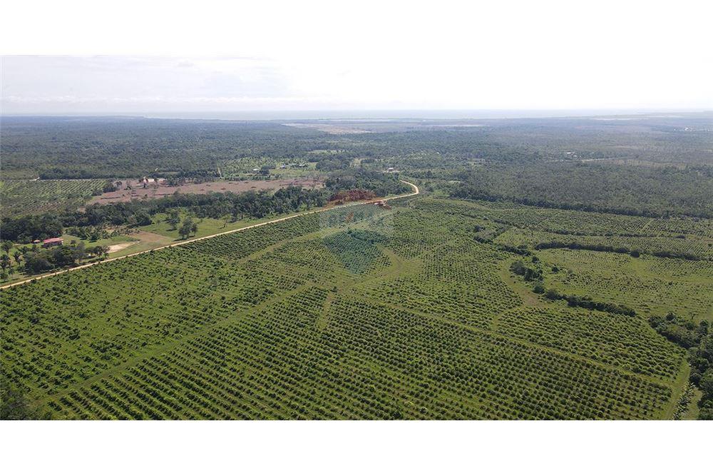 Sale of Business - For Sale - Silk Grass, Stann Creek District, Belize - 7 - 901911013-62