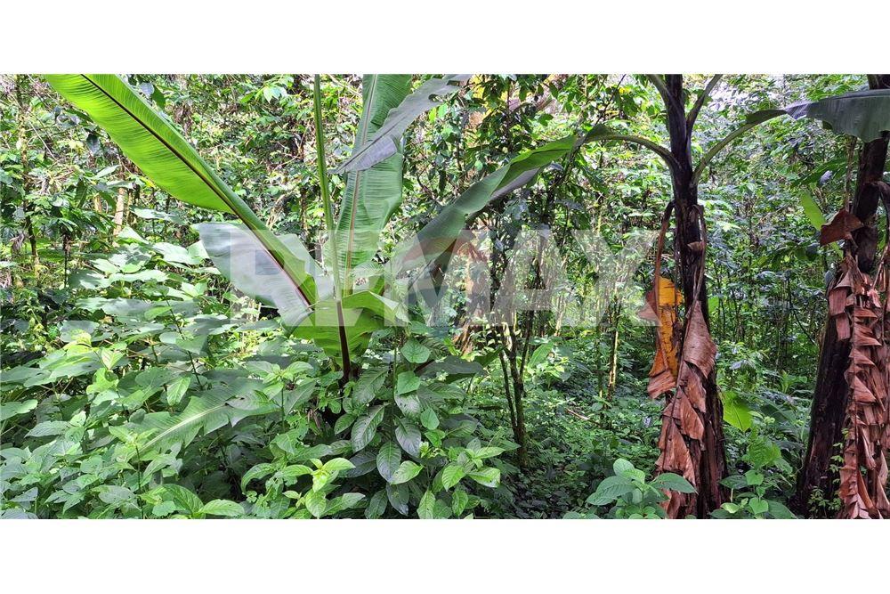 Land - For Sale - Santa Elena Barillas, Guatemala, Guatemala - 11 - 902091017-26