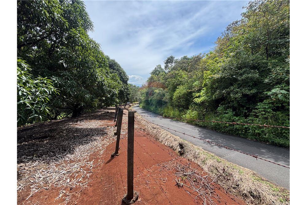 Land - For Sale - Atenas, Alajuela- Atenas, Costa Rica - 4 - 90128002-974