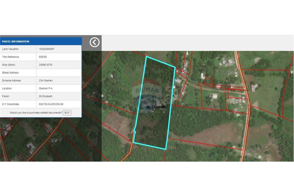 Lote - Venta - Santa Cruz, Saint Elizabeth, Jamaica - 5 - 901321002-8