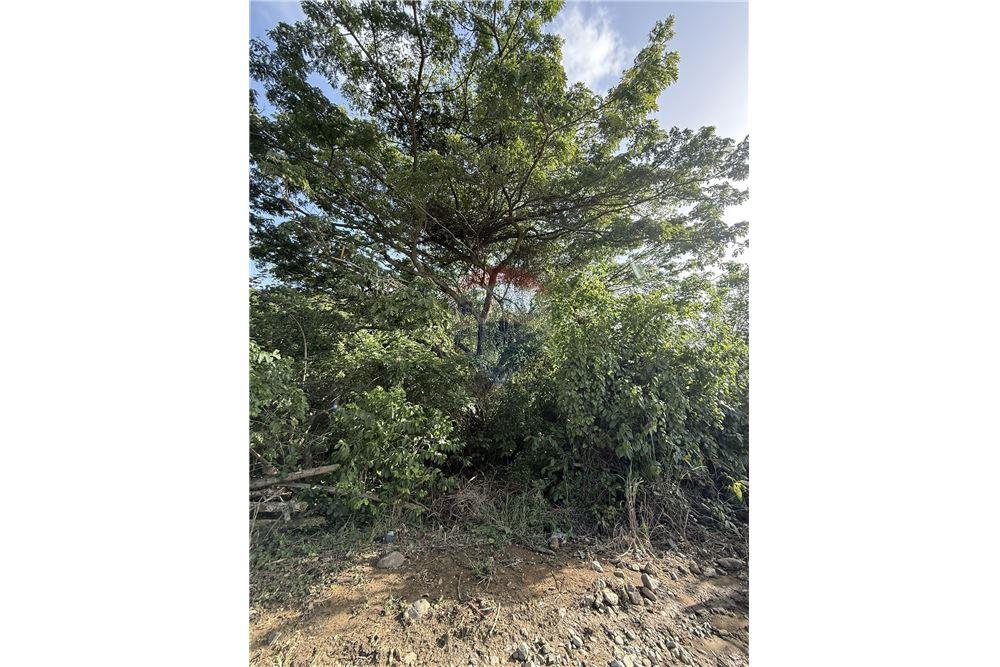 Land - For Sale - East End, Tortola, British Virgin Islands - 7 - 90134005-317