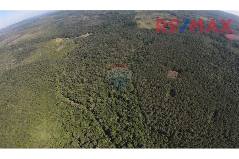 Lote - Venta - Poptún, Petén, Guatemala - 1 - 902691018-30