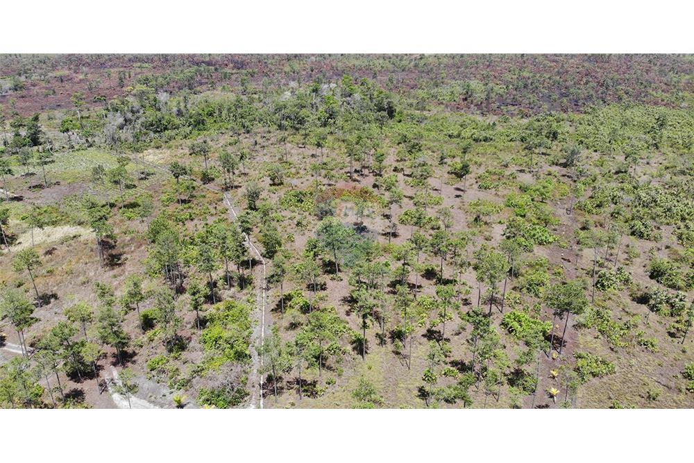 Land - For Sale - Georgetown, Stann Creek District, Belize - 4 - 901911013-56