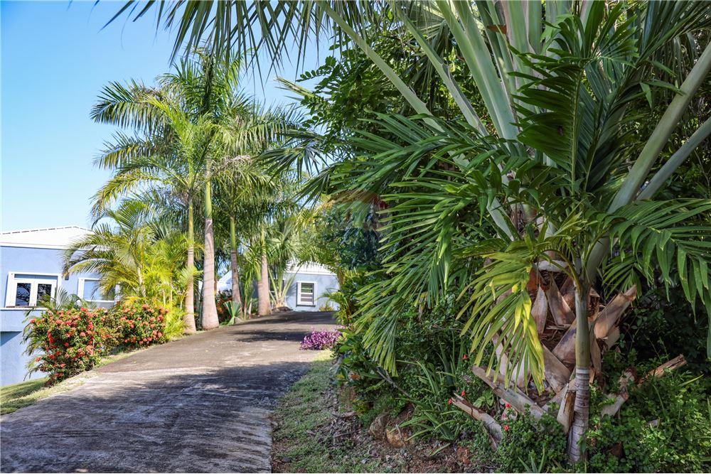 Villa - Te Koop - Mafolie, St Thomas, US Virgin Islands - 11 - 90123001-1307