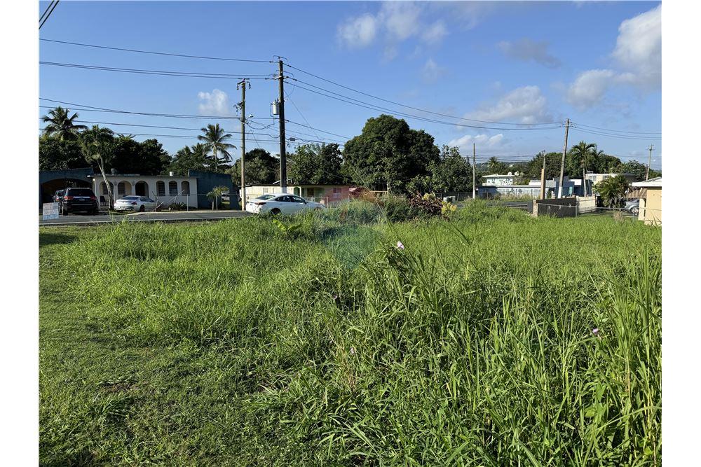 Lote - Venta - Juncos, Juncos, Puerto Rico - 6 - 90102046-19