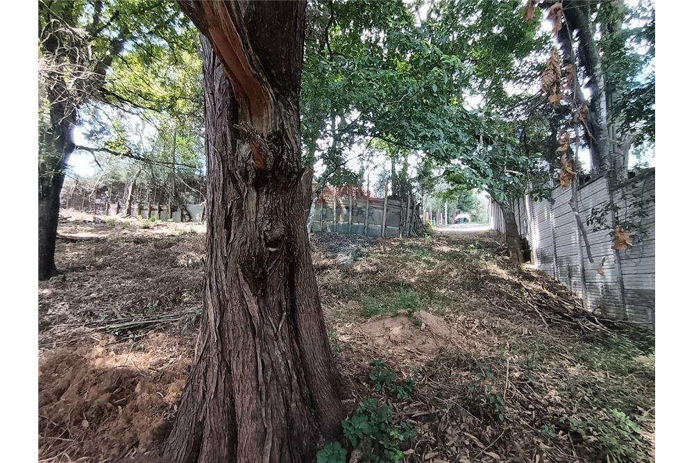 Grondstuk - Te Koop - San Lucas Sacatepéquez, Sacatepéquez, Guatemala - 3 - 90129016-31