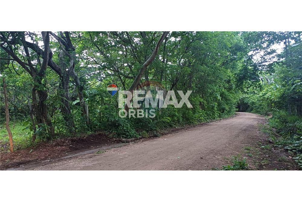 Lote - Venta - Masaya, Masaya, Nicaragua - 3 - 902681009-1