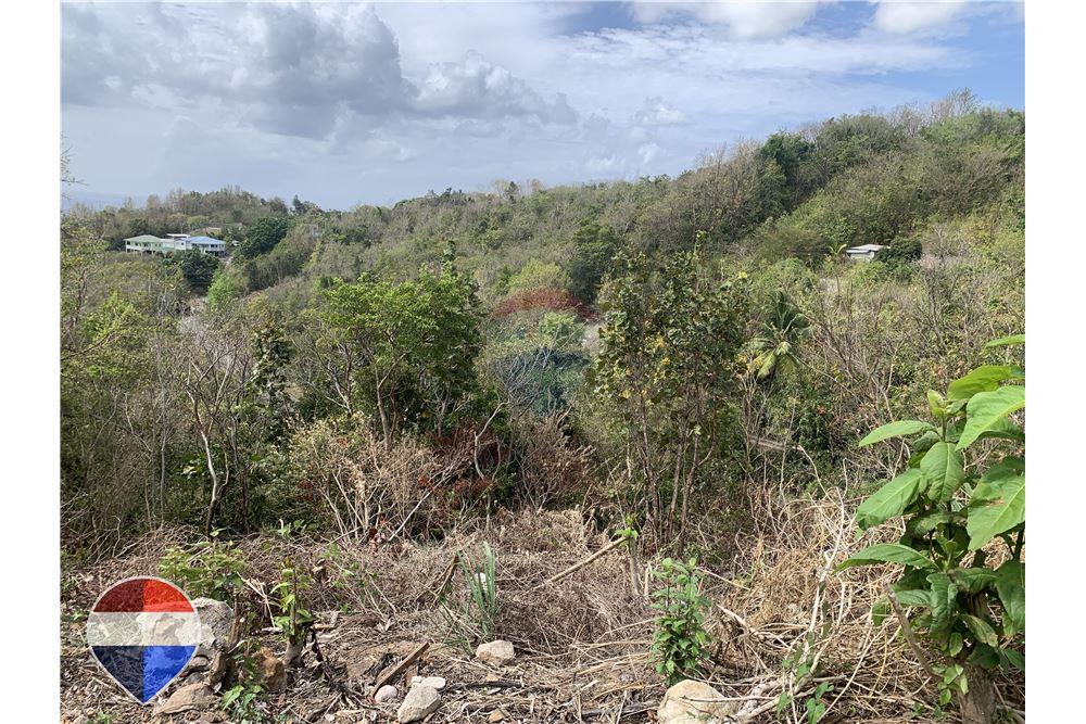 Grondstuk - Te Koop - Anse La Raye, Anse-la-Raye, St Lucia - 5 - 902071001-195